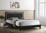 Passion Black Platform Bed - Multiple Size - Olivia Furniture