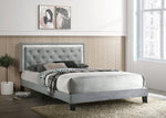 Passion Grey Platform Bed - Multiple Size - Olivia Furniture