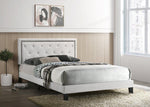 Passion White Platform Bed - Multiple Size - Olivia Furniture