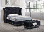 Luxor Black Velvet Queen Bed - Olivia Furniture