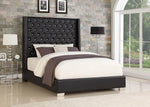 Diamond Tufted Black 6 FT Queen Bed | HH324 - Olivia Furniture